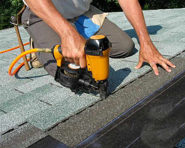 Best Roof Gutter Cleaning  in Fort Pierce, FL